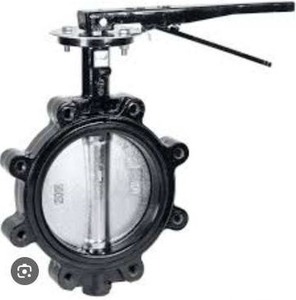 lot 19084 image: 8in Cast Iron Butterfly Valve Lug Lever