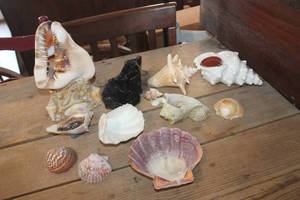 lot 3508 image: Working Vintage Shell Lamp and More