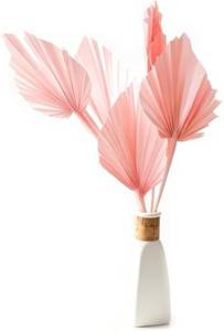 lot 45055 image: 5 PCS Palm Fan Leaf Dried Flower DIY Flower Arrangement Home Decoration for Vase Wedding Party Office Home Wall Decor (Pink)