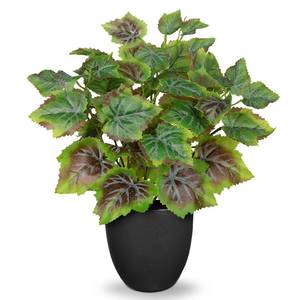 lot 28555 image: Villa Como 14.5 Artificial Plants Indoor Home Decor Small Faux Grape Plant - Retail $18