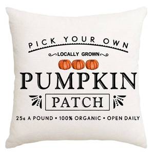 lot 28708 image: Fall Pillow Covers 18x18 Pumpkin Patch Fall Decorations for Home - Retail $8