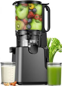 lot 28774 image: Juicer Machines with 5.8 Large Chute, 2-in-1 Cold Press Juicer for Whole Vegetables Fruits 400W, Masticating juicer Easy to Clean Juice Extractor Machine for Making Nut Mike, Juice, Premium Gray - Retail $95
