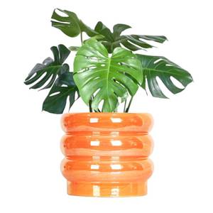 lot 82 image: 8 inch & 6 inch Ceramic Plant Pots for Indoor Plants, Rainbow Pearl GlazePlanter with Planters for Plants with Drainage Hole, Orchid Pots, Succulent Pot,Large Flower Pot