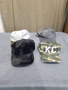 lot 1624 image: Lot of 4 Baseball Caps Assorted Colors