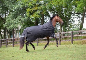 lot 14 image: Paladin Highneck Heavyweight Turnout 1200D Blanket - KTL1540 80 - Blk