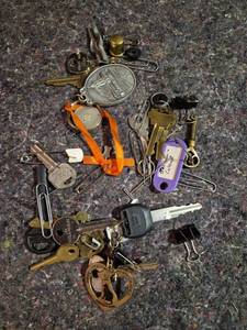 lot 163 image: Lot of Keys Keychains and Key Accessories Multiple Styles