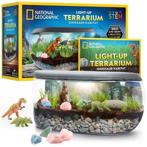 lot 19455 image: National Geographic Light-Up Dinosaur Terrarium Kit