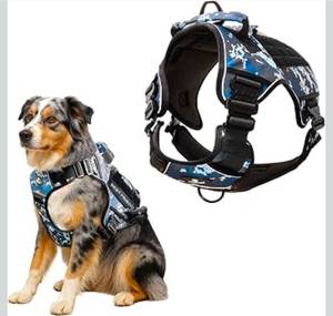 lot 20204 image: No Pull Dog Harness for Large Dogs, 4 Metal Buckles&Double Stitching CAPTAIN DOG - Reflective Harness Large Size Dog with 2 Removable Patches, Tactical Dog Harness with Poop Bag Holder - Pacific Blue - Retail $20