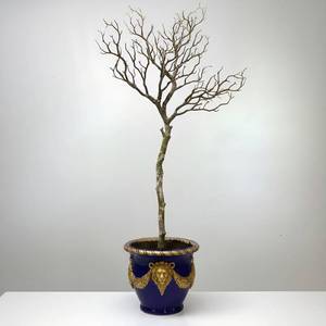 lot 20244 image: Shaloxar 34-inch-Tall Manzanita Branches,Aquarium Bonsai Tree,Fake Tree Branches,Branches for Decoration,Ideal for Home, Garden, Office, Study, and Aquarium Decoration Set of 2  - Retail $39
