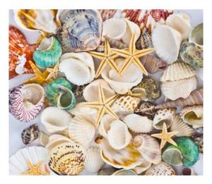 lot 20349 image: Famoby Sea Shells Mixed Beach Seashells Starfish for Beach Theme Party Wedding Decorations DIY Crafts Candle Making Fish Tank Vase Fillers Home Decorations Supplies 70 pcs - Retail $25