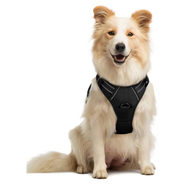 lot 38145 image: Dog Harness No Pull with 2 Leash Clips, Adjustable Soft Padded, Reflective Oxford No Choke Pet Vest with Easy Control Handle for Medium Sized Dogs, Black, M - Retail $17