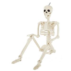 lot 46889 image: Halloween Posable Skeleton Decorations, 3FT Realistic Plastic Human Full Body Bones with Movable Joints Skeleton for Haunted House Graveyard Props Indoor Outdoor Halloween Party Supplies - Retail $17