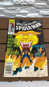 lot 83 image: Marvel Comics The Spectacular Spider-Man Issue 171 Dec 1991