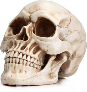 lot 20685 image: READAEER Life-Size Resin Skull for Home Decor, Halloween Skull Statue