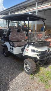 lot 282 image: Golf Cart 4-Seat HO80 White with Canopy and Cargo Basket