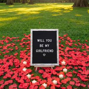 lot 2128 image: Will You Be My Girlfriend Romantic Sign with LED Candles & Rose Petals