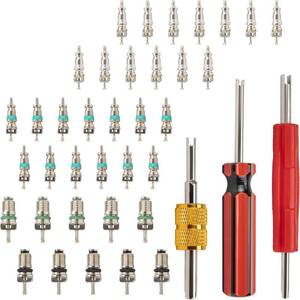 lot 2336 image: 39 Pcs Valve Core Kit with Schrader Tool, R12R134a, Single & Dual Heads