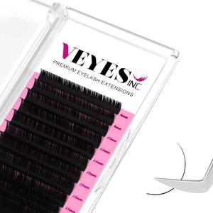 lot 2387 image: 2 Pack VEYES INC Classic Volume Lash Extensions 0.03-0.20 JD Curl 5-25mm Tray