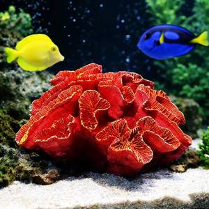 lot 2441 image: Aquarium Coral Decor, 5.9-Inch Lifelike Resin Coral Ornament, Red