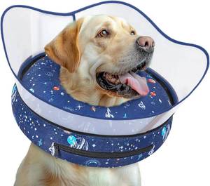 lot 2465 image: Elevated Inflatable Dog Cone Collar to Stop Licking   After Surgery