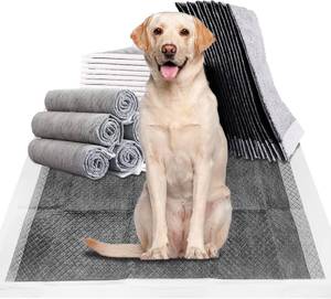 lot 2523 image: Fhiny Pee Pads for Dogs 24x36 20-Count Extra Large Disposable Puppy Pads