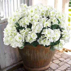 lot 2576 image: Hananona 12 Pcs Artificial Geranium Flowers Outdoor UV Resistant White