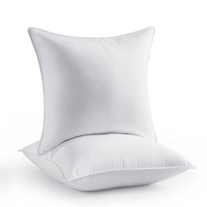 lot 1051 image: Seward Park Throw Pillows 20 x 20 inch Set of 2, Soft Fluffy Decorative Pillow Inserts for Couch Cushion and Sofa - Retail $30