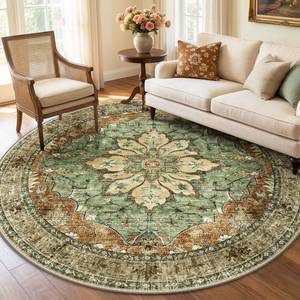 lot 261 image: RELEANY Washable Area Rug, Round 6ft, BrickBrownGreen - Retail $60