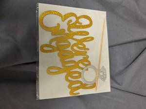 lot 388 image: Wedding Cake Topper, Were Engaged  - Retail $0