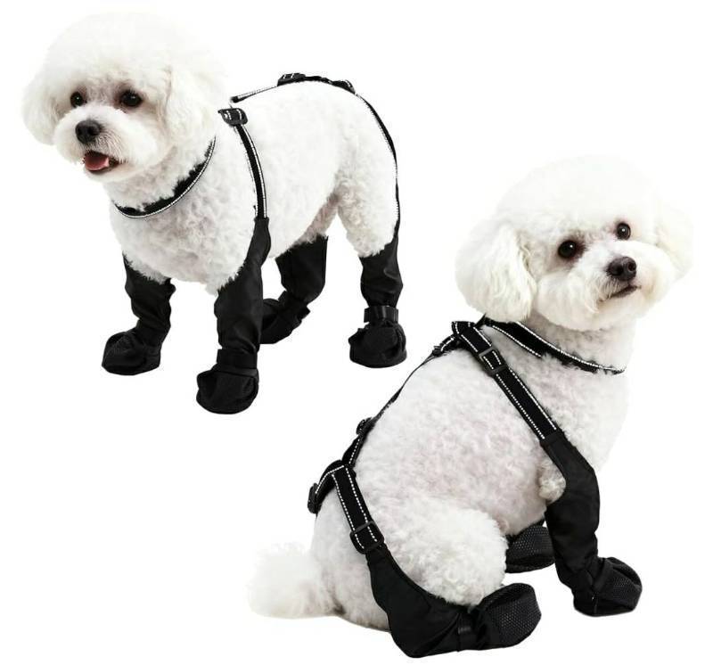 lot 28028 image: Waterproof Dog Boots for SmallMedium Dogs -Dog Paw Protectors Dog Suspender Boots Anti-Slip Pet Shoes for Outdoor Walking, Reflective Stay-On,Dirt-Proof Comfortable Booties (Black, Large) - Retail $16