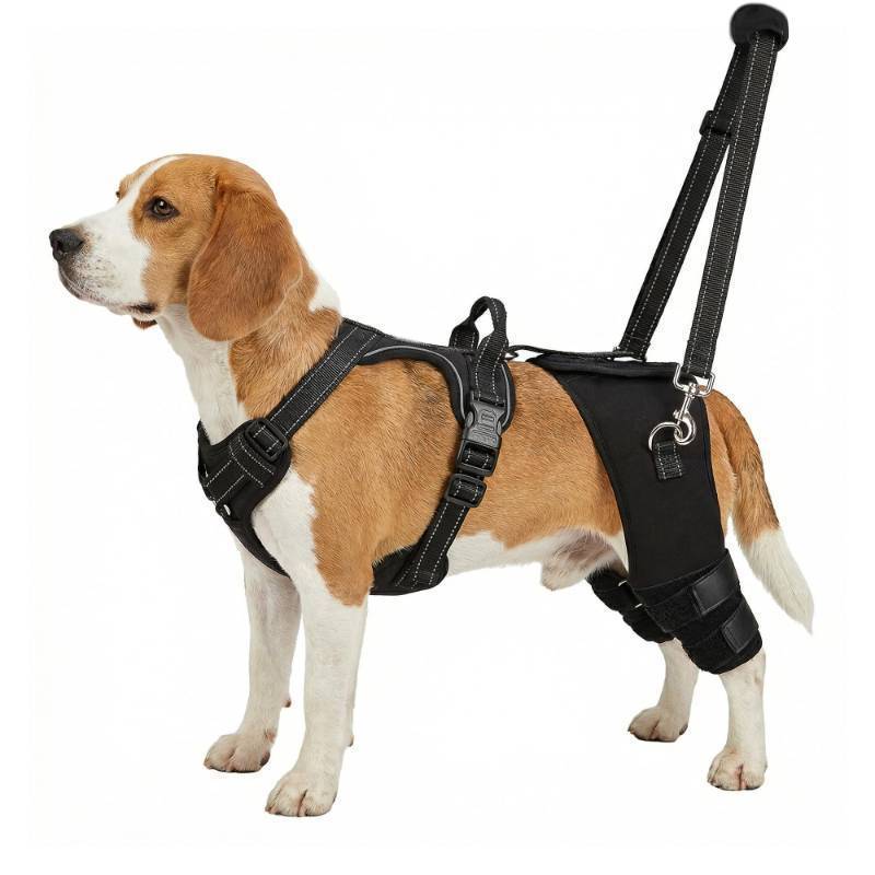 lot 17724 image: Dog Knee Braces for Torn ACL Hind Leg, Adjustable Dog Leg Braces for Back Leg with 4 Stabilizers for Luxating Patella Relieves Ligament Injury and Joint Pains - Retail $115