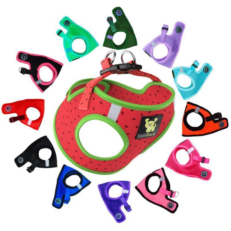 lot 72929 image: Step in Dog Harness Reflective Soft Ultra Padded Mesh Dog Harnesses for XXS, XS, Small, and Medium Dogs Eco-Friendly Comfort Secure Halter No Pull Adjustable Pet Vest - Retail $30