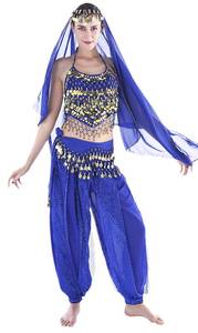 lot 64105 image: Genie Costume Gypsy Bollywood India Belly Dancer Arabian Outfit for Women, one size - Retail $37