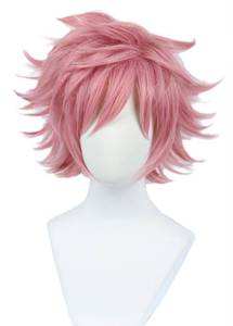 lot 64203 image: Anime Cosplay Wig Short Halloween Costume Hero Wig (pink) not style - Retail $18