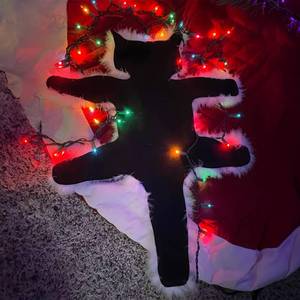 lot 64232 image: Light Up Fried Cat Rug, Fried Cat Decorative Fur Trimmed Rug, Christmas Vacation Cat Rug, Funny Christmas Light Decoration (Colorful Light) - Retail $20