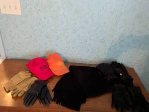 lot 110 image: Winter Accessories Lot 2 Baseball Caps, 2 Pairs Gloves, 1 Scarf, 3 Pairs Mittens