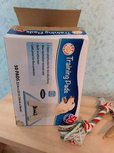 lot 210 image: Pet Star Training Pads 50 Count 2-in x 2-in 56 cm x 56 cm