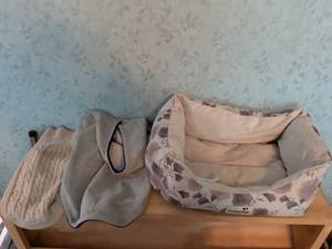 lot 211 image: TrustyPup Pet Bed with Matching Carrier Bag