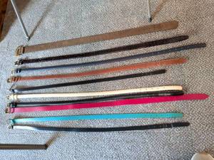 lot 251 image: Lot of 10 Belts Various Colors Sizes