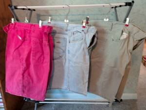 lot 255 image: Lot of 4 Women Shorts Pink Blue Tan Denim