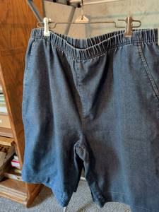 lot 256 image: American Sweetheart Denim Shorts Elastic Waist Size L