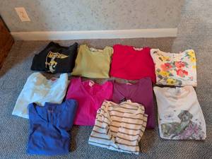 lot 282 image: Lot of 10 Womens T-Shirts and Tops Assorted Colors and Styles. All size medium