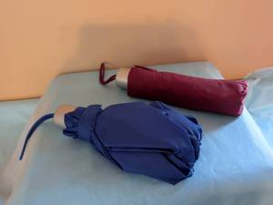 lot 301 image: Compact Umbrellas 2-Pack Navy Blue Burgundy Red