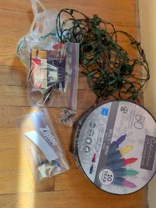 lot 446 image: Celebrations 50-Count IndoorOutdoor Multi-Mini LED Light String 24.5 ft