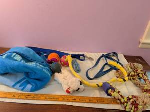 lot 507 image: Dog Toy Lot Bundle Leash Balls Rope Chew Toys