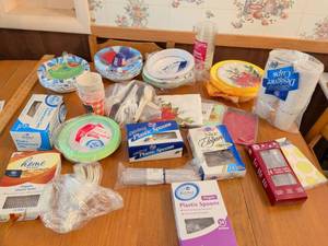 lot 576 image: Disposable Dinnerware Lot Plates Cups Spoons Forks Cutlery