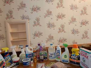 lot 674 image: Cleaning Supplies Lot Includes Sprays Powders Brushes and Accessories(very little in the shout, Borax, OxiClean in one of the spot remover bottles. Everything else pretty much is almost full if not full)