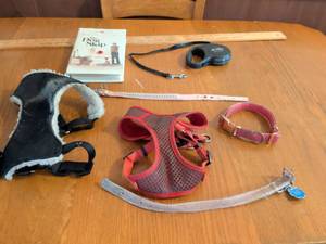 lot 695 image: Dog Supplies Lot 6 Pieces Harnesses Leashes Retractable Lead