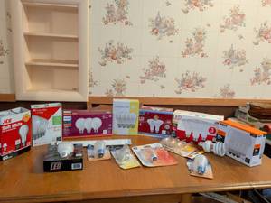 lot 710 image: LED and Incandescent Light Bulbs Lot - Multiple Brands and Wattages