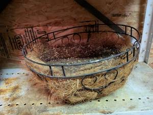 lot 837 image: Metal Wire Basket with Coco Coir Liner and Soil